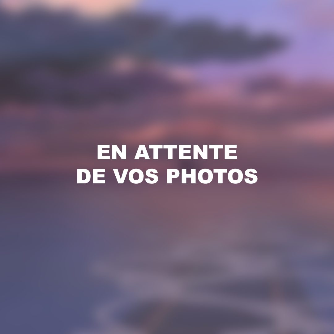 Sans-titre-1 - Copie (2)